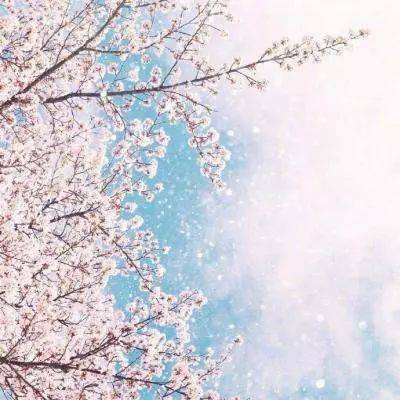 Kaiyun下载手机版截图