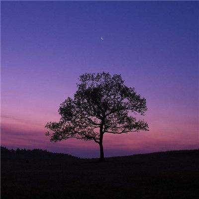 Kaiyun下载手机版截图